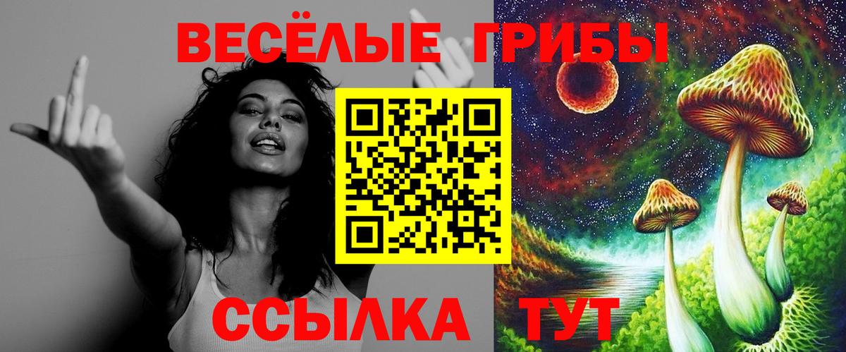 Галлюциногенные грибы Psilocybe Электросталь