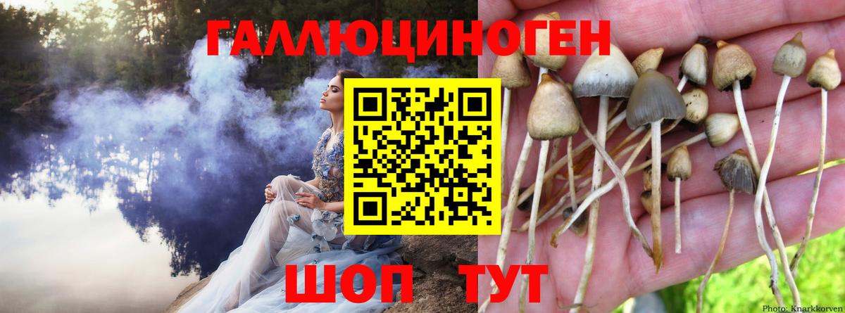 Галлюциногенные грибы Cubensis  Вход с VPN  дарнет шоп  Электросталь  Галлюциногенные грибы MAGIC MUSHROOMS 